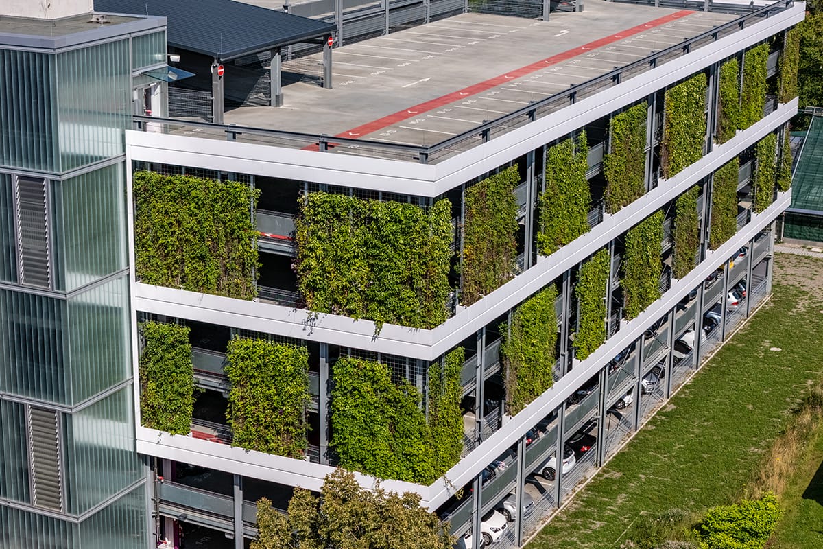 Die grüne Fassade